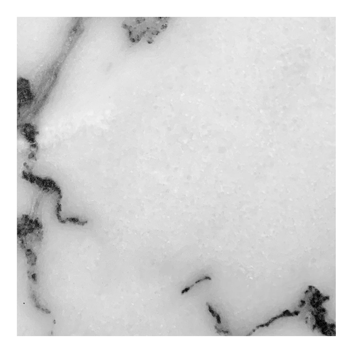 Tafelblad marmer vierkant 60 x 60 cm met montageplaat